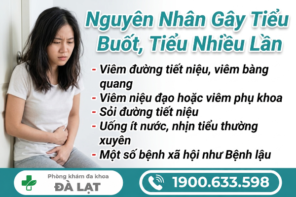 Hình ảnh minh họa